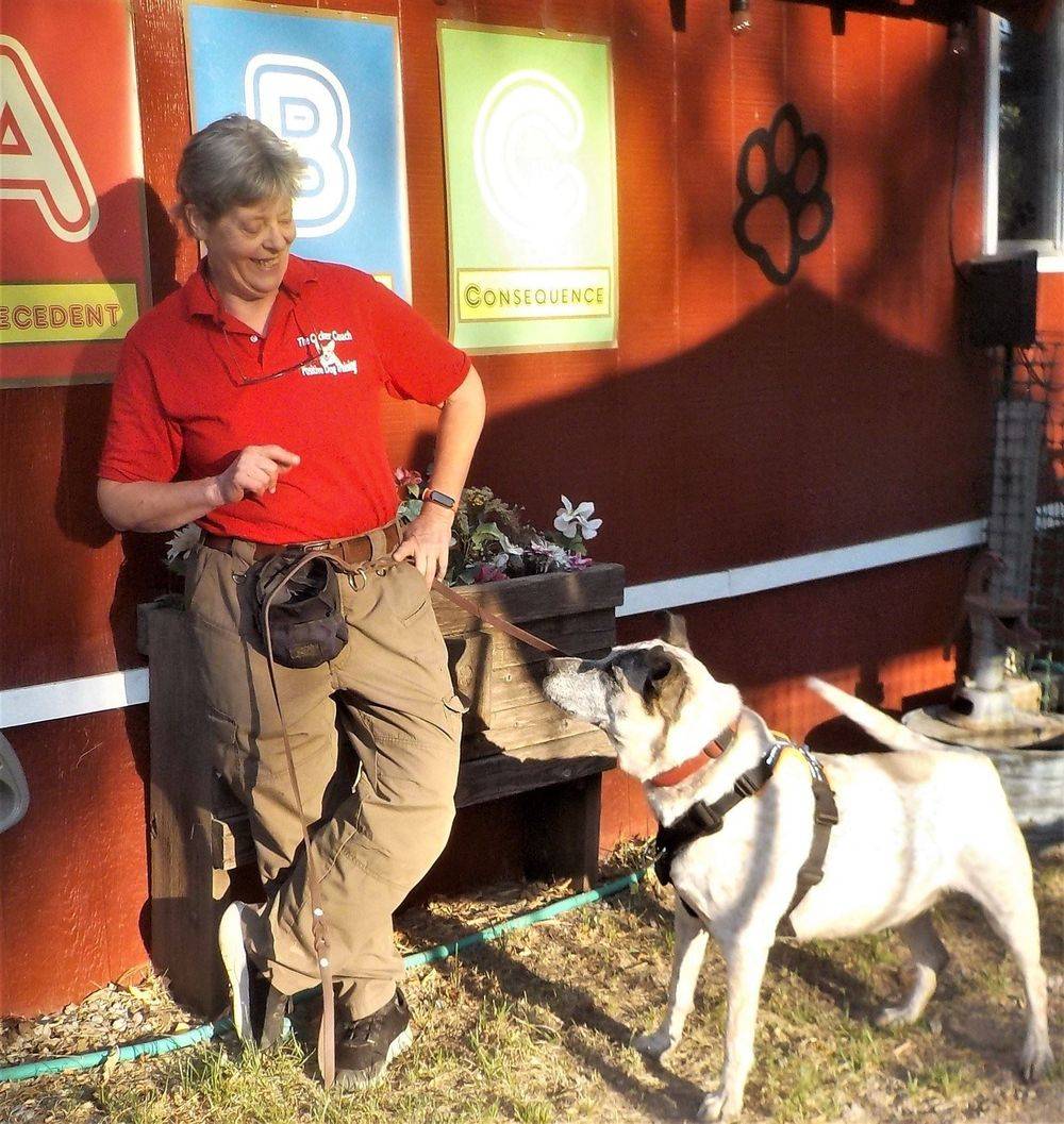 Emily Gaydos, CPDT-KA, with her dog Tinker